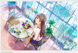 【デレステ】スターライトステージ★瞳子はアラサーアイドルで唯一70代